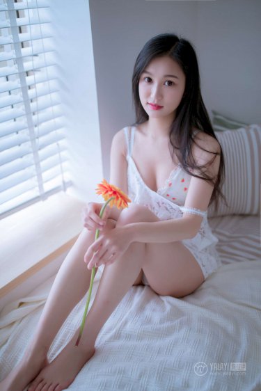 小向美奈子种子